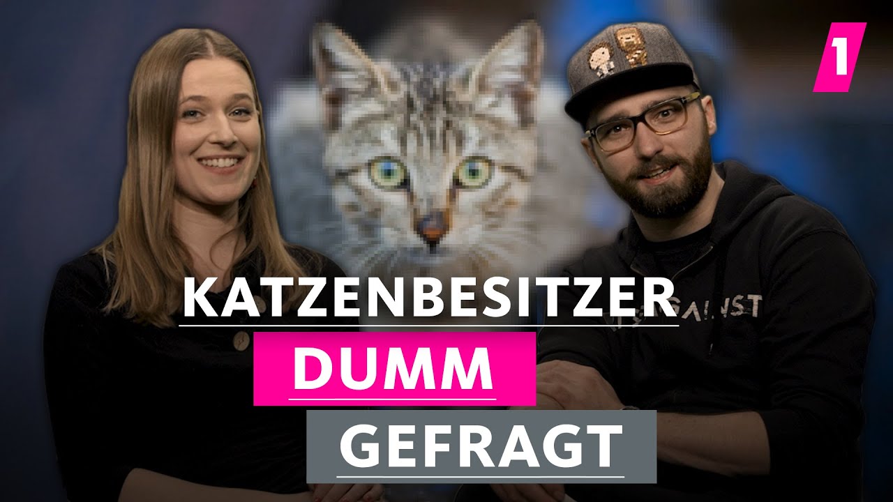 Bei Katzenbesitzern stinkt es nach Katzenklo! | 1LIVE Dumm Gefragt