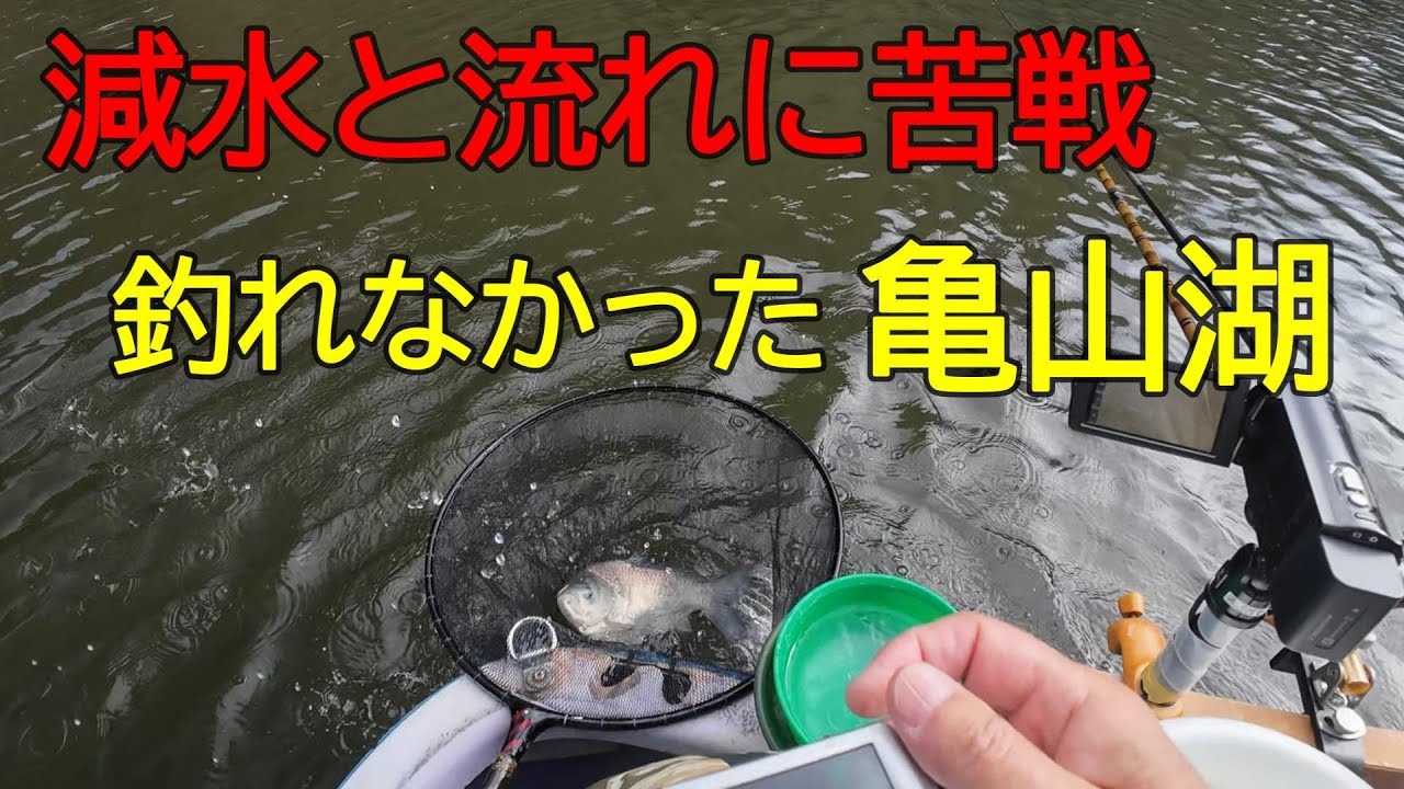 亀山湖・笹川②　へら鮒釣り　2026年1月