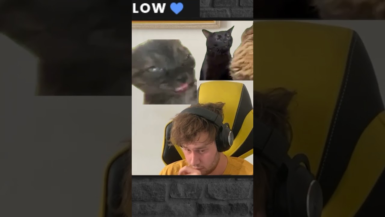 twitch: sdeekx 