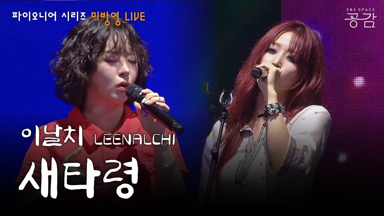 이날치 - 새타령 [파이오니어 시리즈] | 민요 '새타령'을 재해석한 드라마 '정년이' OST 수록곡