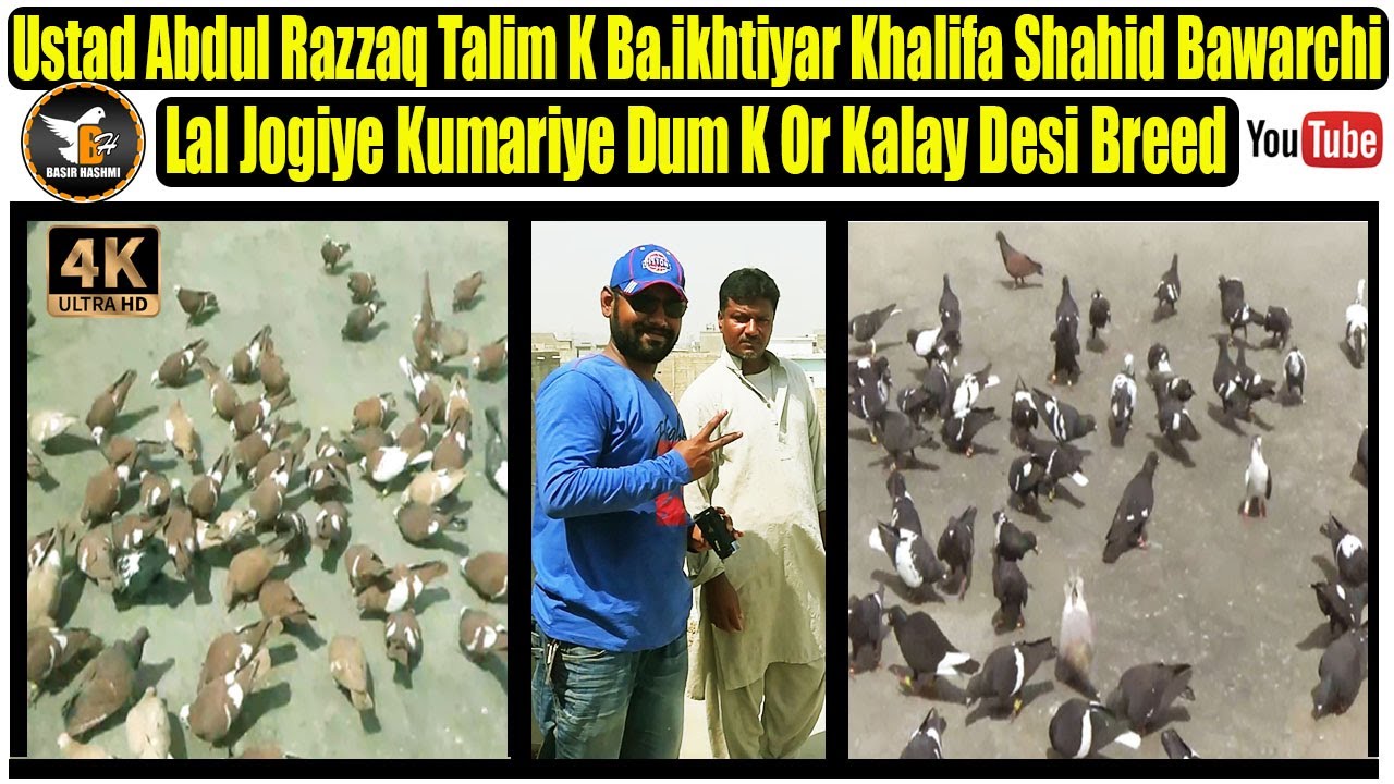 Ba.ikhtiyar Khalifa Shahid Bawarchi K Lal Jogiye Kumariye Dum K Or Kalay Desi Kabooteron Ka Saaz