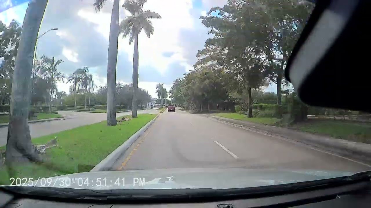 Alligator vs. SUV: Only in Florida (Wait for the Twist!) October 6, 2025(5)