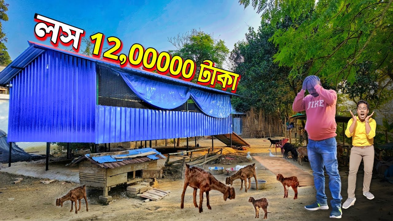 ছাগল মেরে দিল ১২ লাখ টাকা 😱 | Goat Farm in West Bengal | Black Bengal Goat | দেশি ছাগল খামার