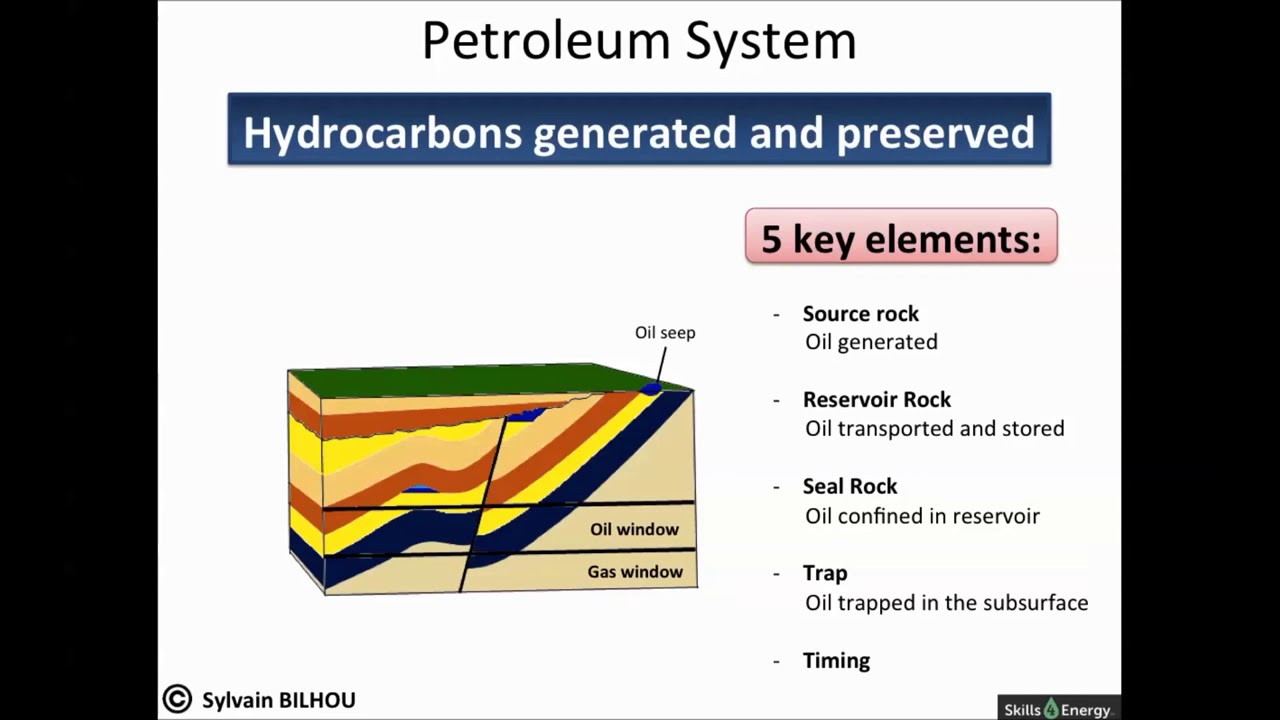 Petroleum system