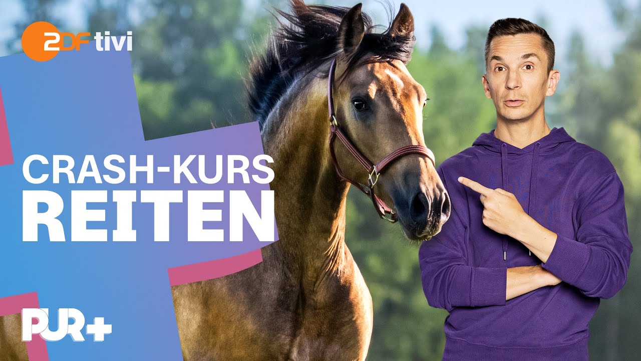 Das erste Mal aufs Pferd: Kann Eric in 4 Tagen reiten lernen? | PUR+