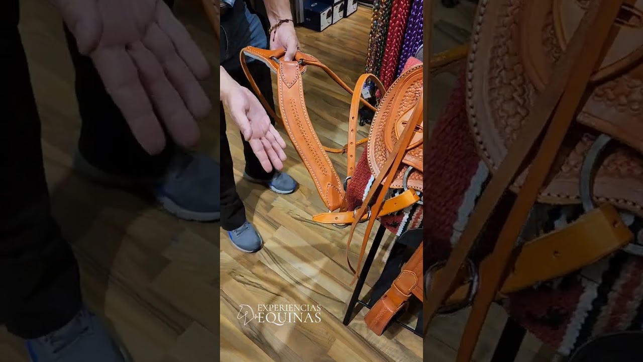 Partes de una silla, tereque o montura para los caballos. Elaborada en material de cuero
