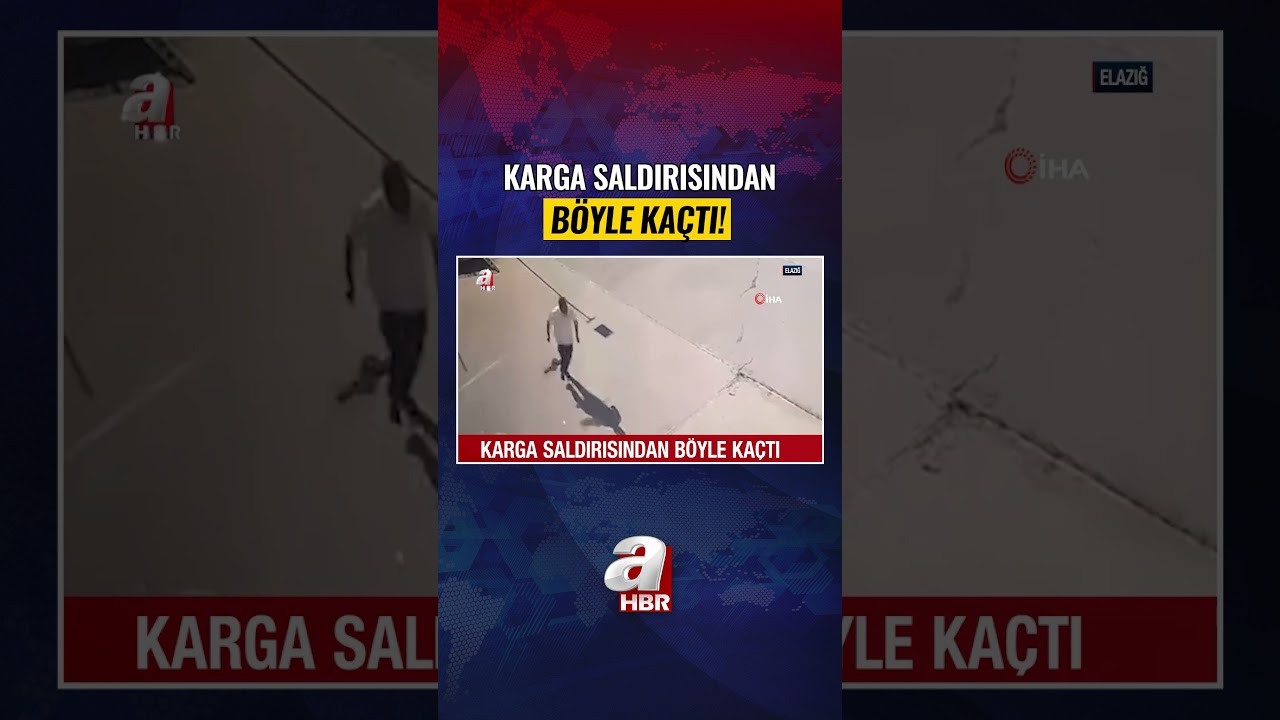 Karga saldırısından b&ouml;yle ka&ccedil;tı! | A Haber