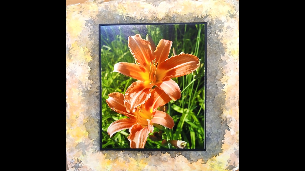 Part 2 -- Experimental Homemade Photographic Frames -- Violets & Daylilies