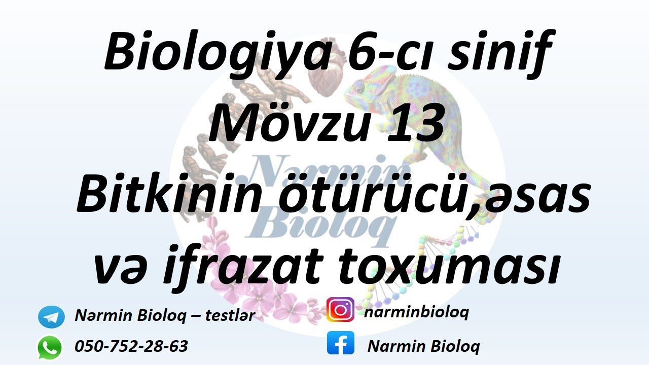 Biologiya 6-cı sinif mövzu 13. Bitkinin ötürücü,əsas və ifrazat toxuması