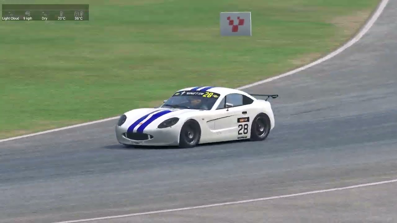 Ginetta Zetec 1.8 - Donington Park Multi-Class