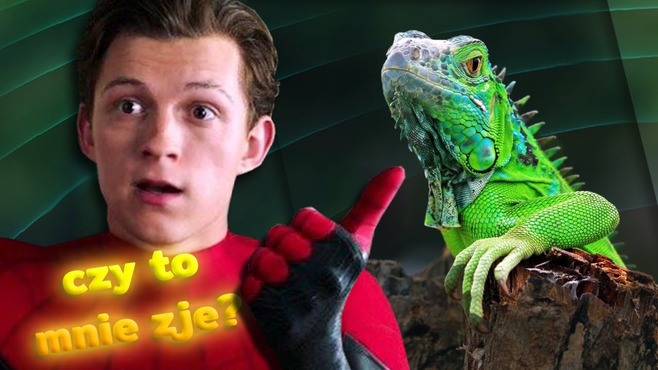 Targi zwierząt są CORAZ DZIWNIEJSZE