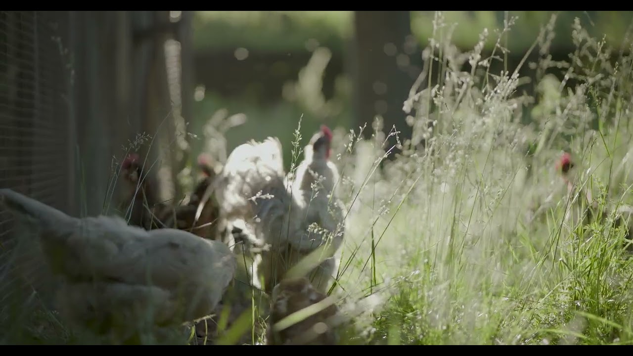 West Hill Farm, Part 2: West Hill Farm