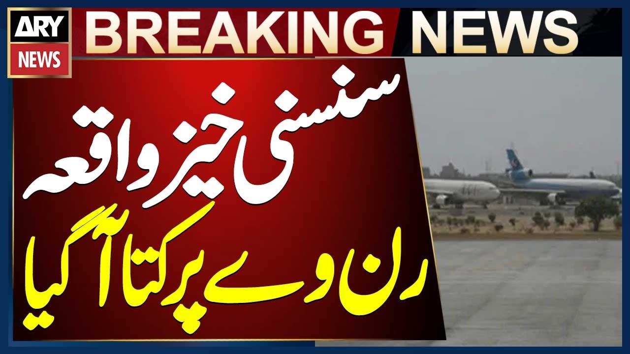 Dog Found on Karachi Airport Runway Before Takeoff, Safety Concern Raised
