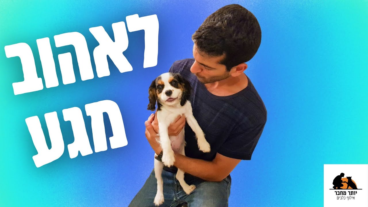 איך ללמד גור לאהוב מגע ולא לנשוך את הידיים