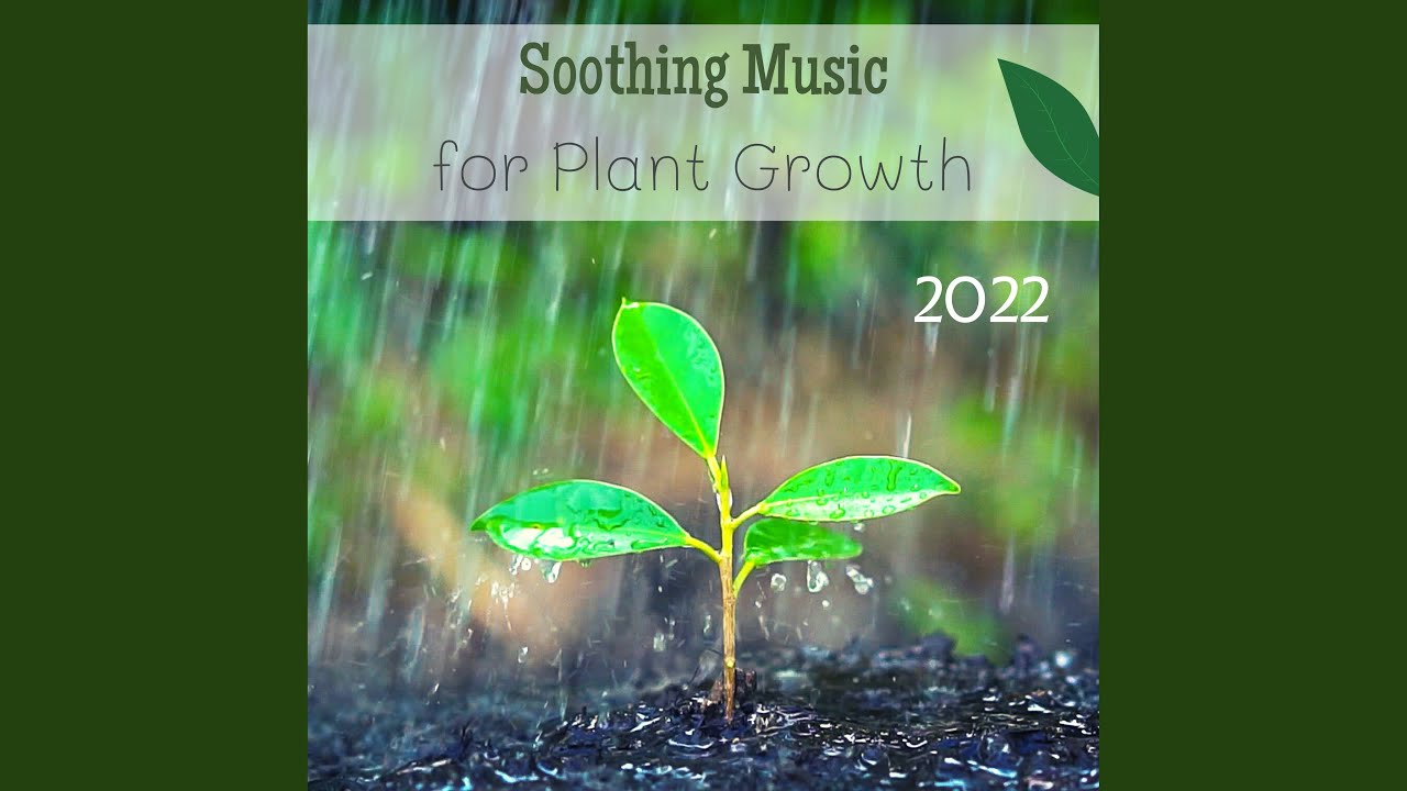 Soothing Music for Plant Growth