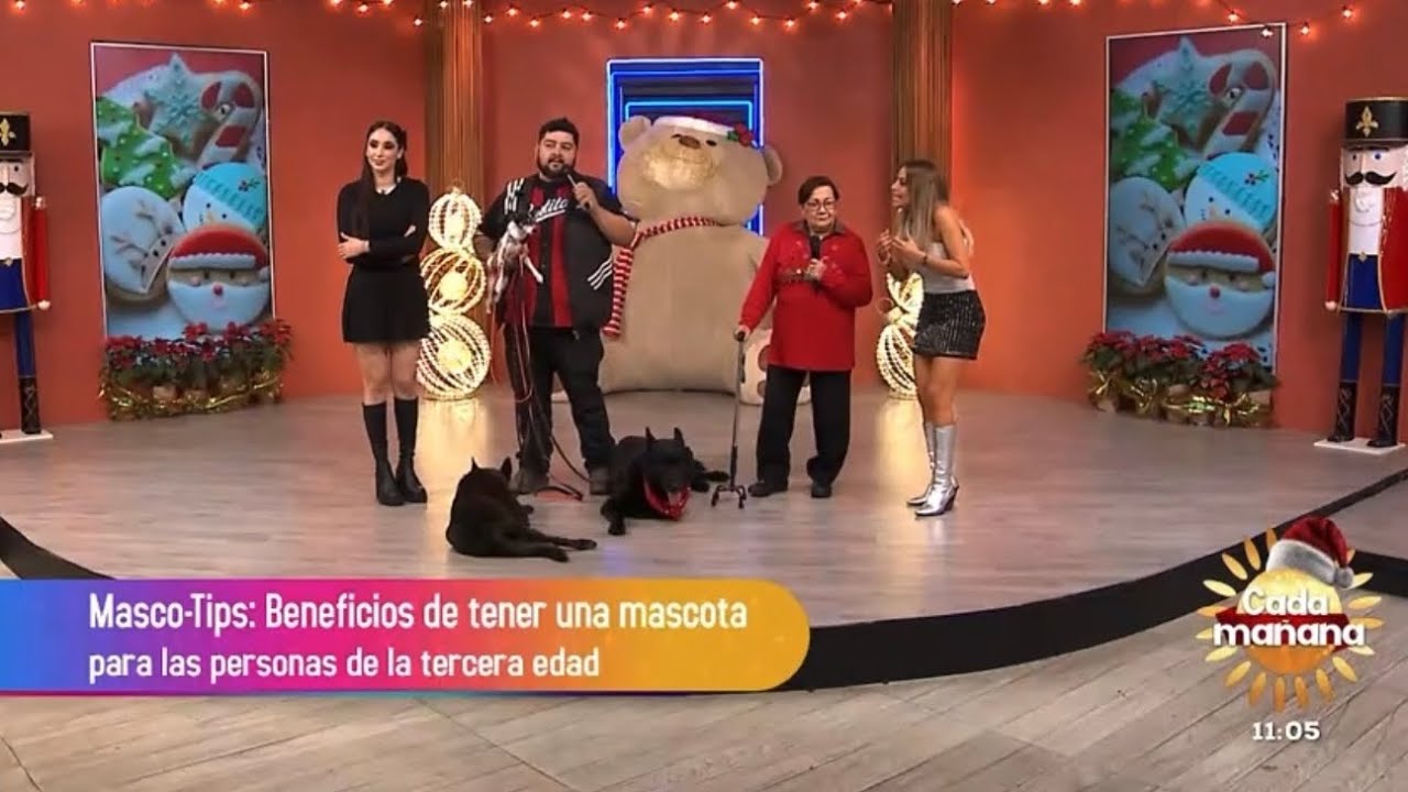 Beneficios de tener una mascota para las personas de la tercera edad.