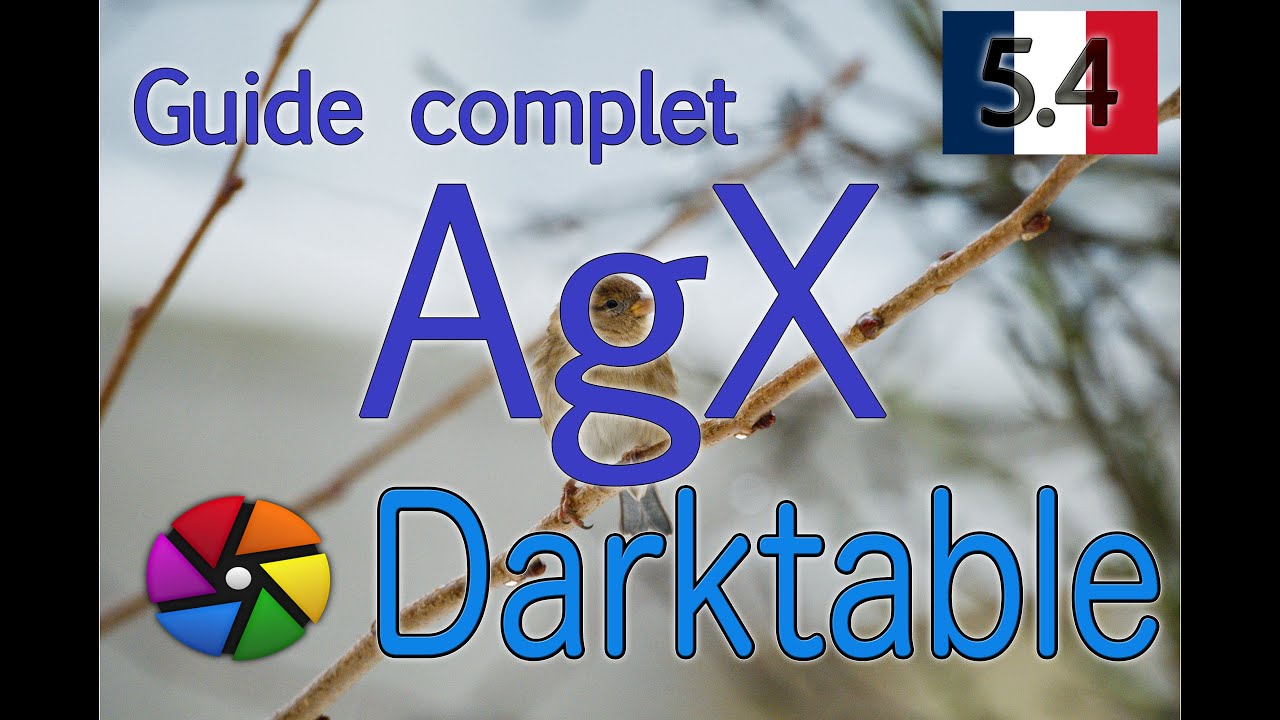 Le guide complet de AgX pour darktable