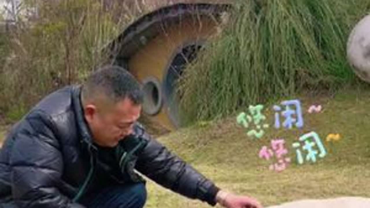 了解国家地理标志沙子岭猪，组织农户来喂养，保价收购保障农户收益。#乡村振兴 #乡村守护人 #沙子岭猪 #坛子菜书记 #公益助农