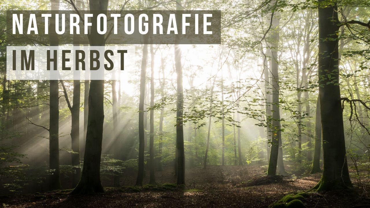 Zeit der kleinen Wunder: Naturfotografie im Herbst