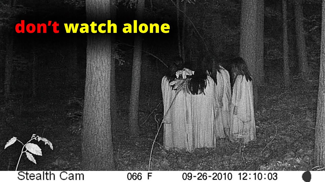 30 SCARIEST Trail Encounters Caught In The Woods | Scary Comp V245