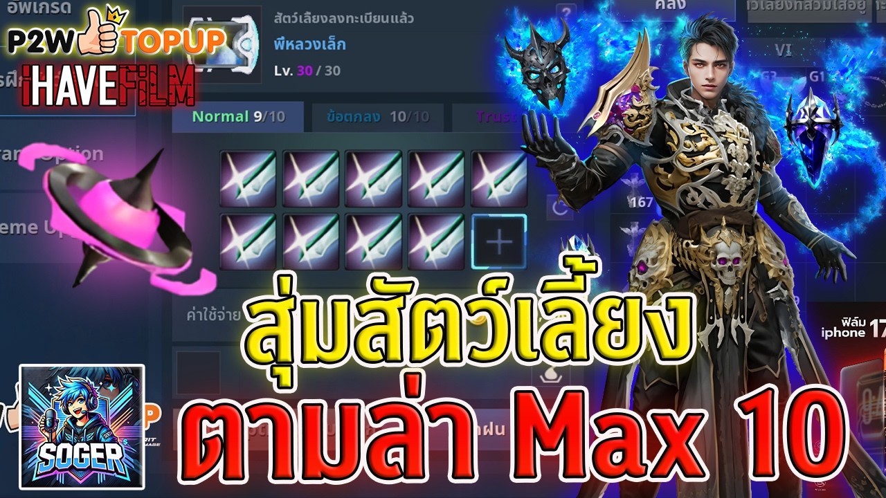 Cabal Infinite Combo : สุ่มสัตว์เลี้ยง : ตามล่า Max rate 10