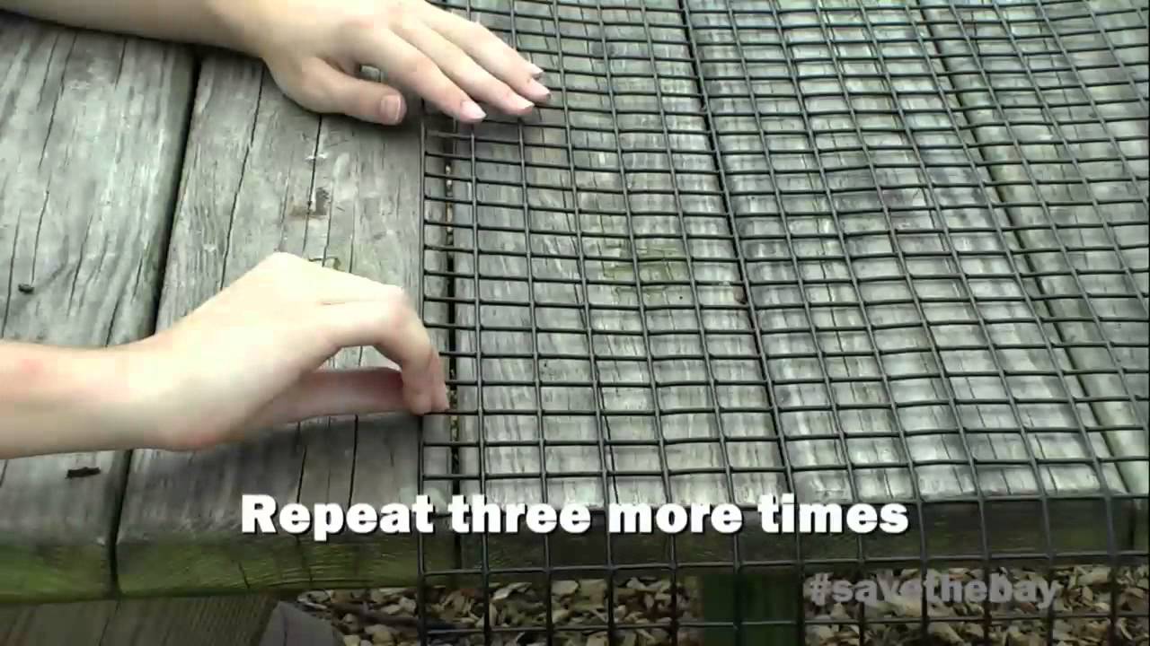 How To Build an Oyster Cage