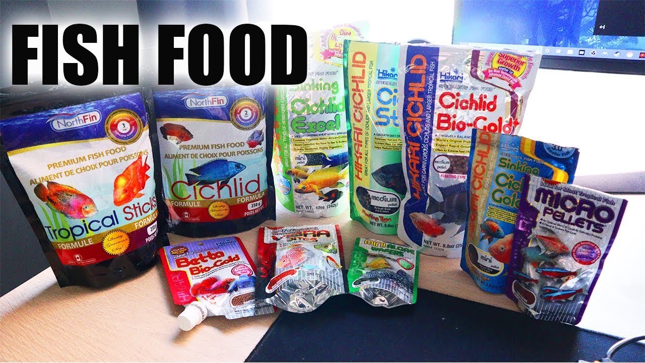 BEST AQUARIUM FISH FOOD 2019