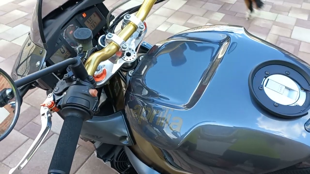Aprilia RSV 1000 Tuono 2003