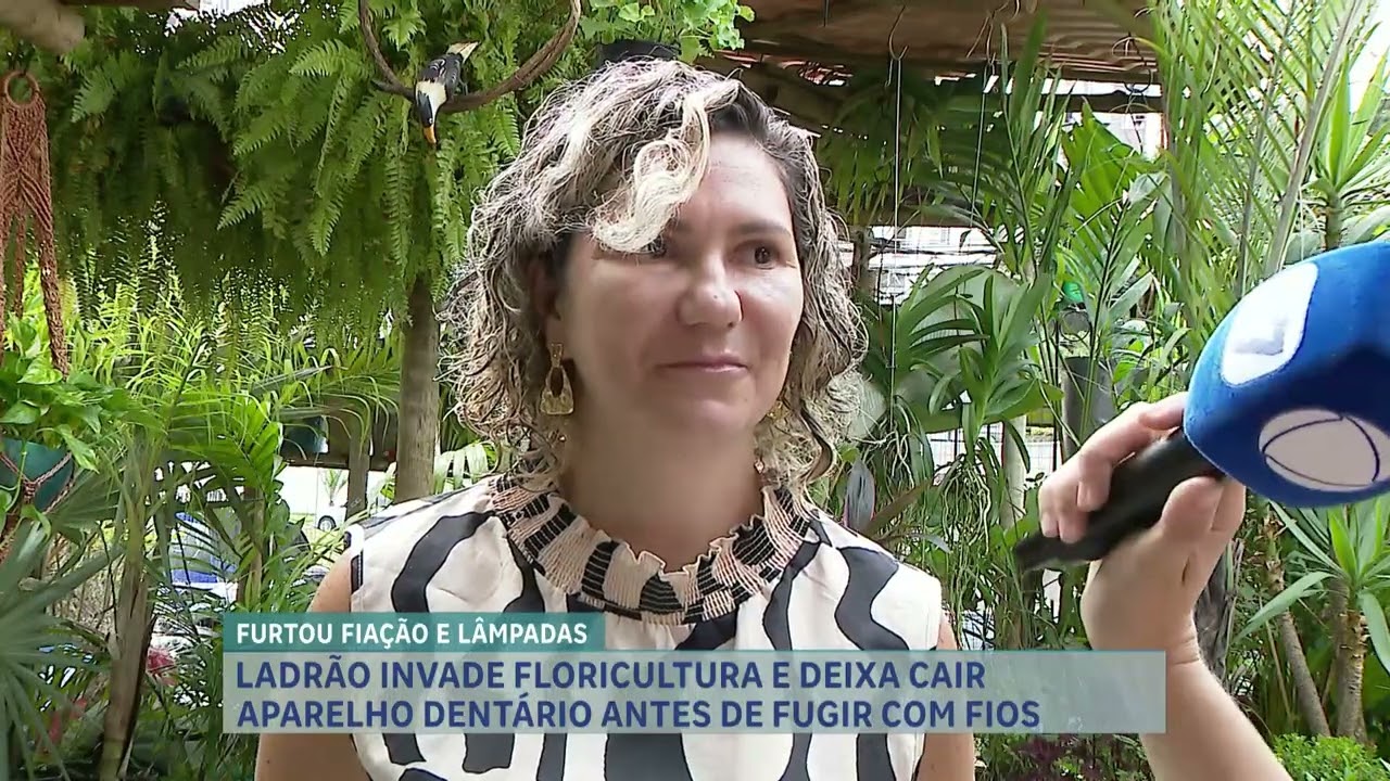 Ladrão invade floricultura em BH, deixa prejuízo de R$ 2mil e foge deixando 'lembracinhas
