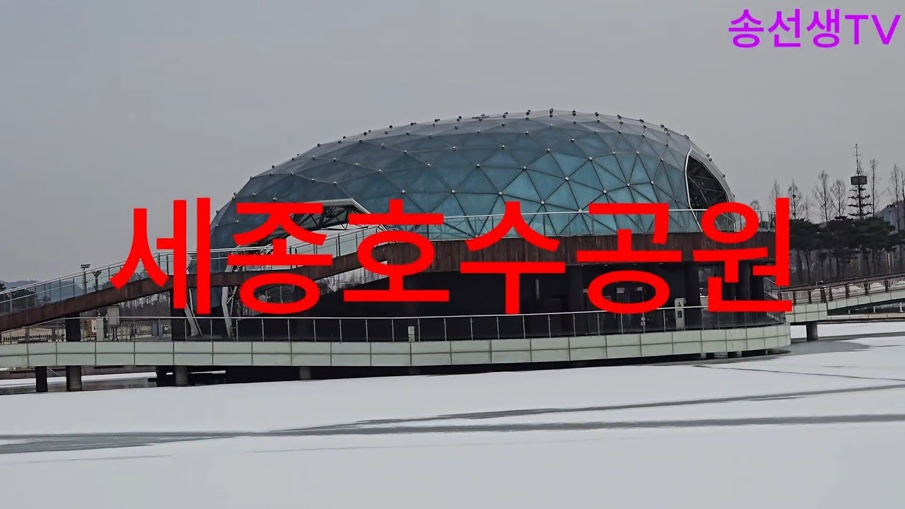 세종 호수 공원 산책