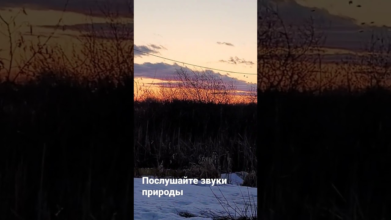 Жизнь в Канаде #canadablogger #канада #канадавлог