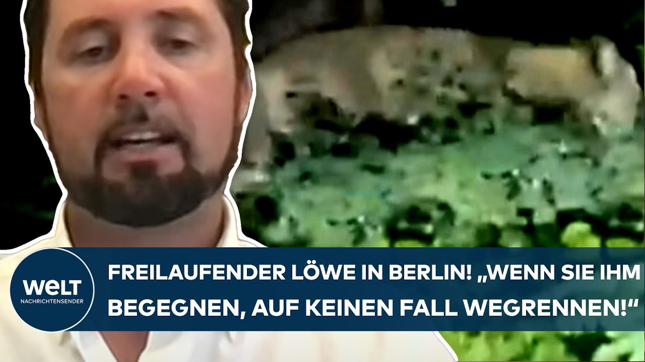 BERLIN: Angst vor freilaufendem Raubtier! 