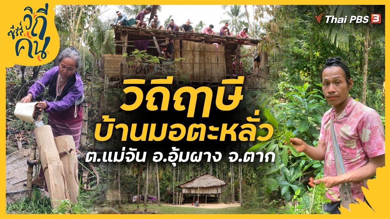 วิถีฤๅษีบ้านมอตะหลั่ว ต.แม่จัน อ.อุ้มผาง จ.ตาก | ซีรีส์วิถีคน