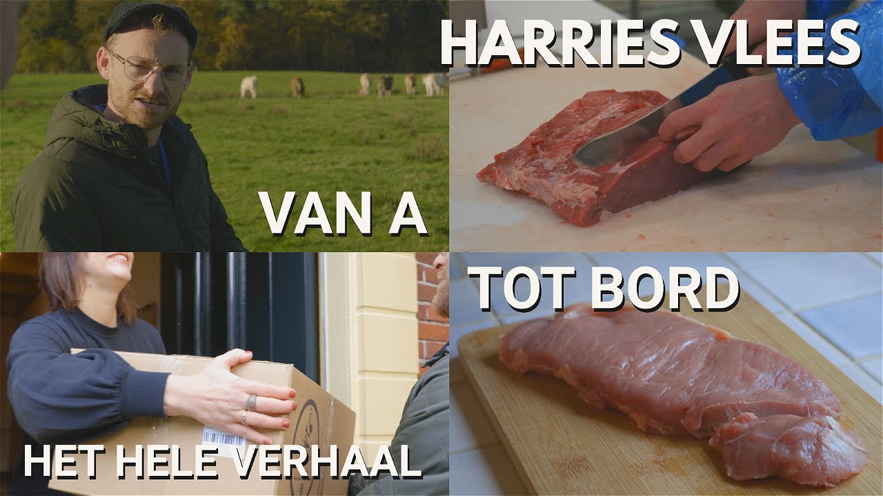 Van A tot Bord, het hele verhaal