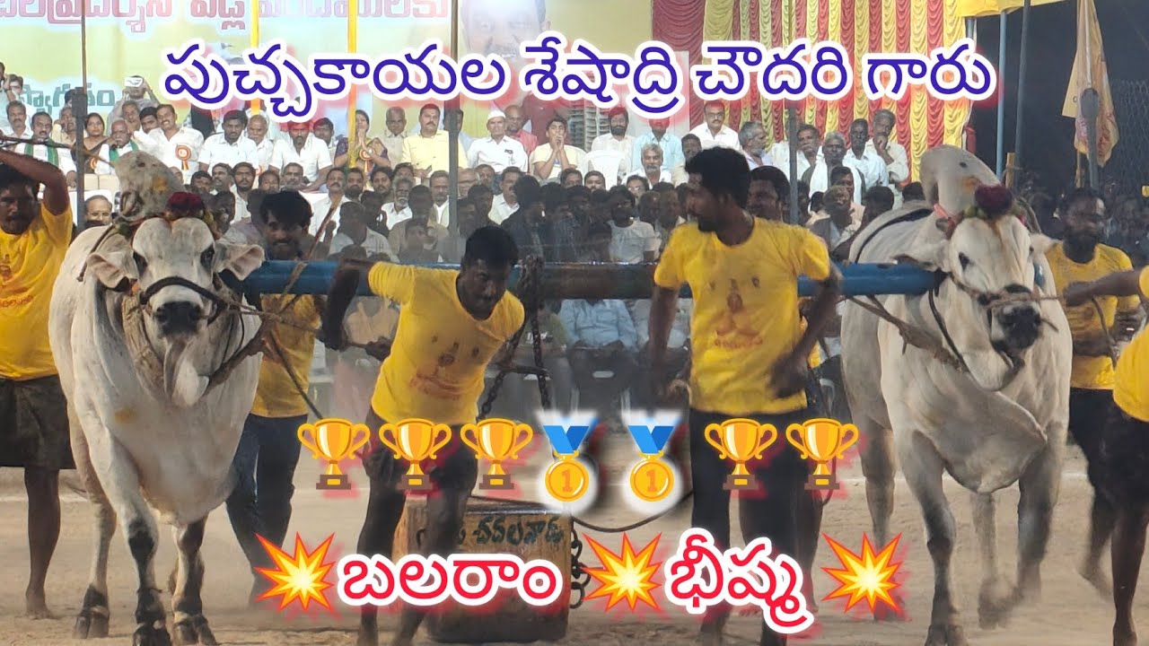 చిలకలూరిపేట గ్రామం న్యూ కేటగిరి విభాగం 10వ జత పుచ్చకాయల శేషాద్రి చౌదరి గారు బలరాం భీష్మ