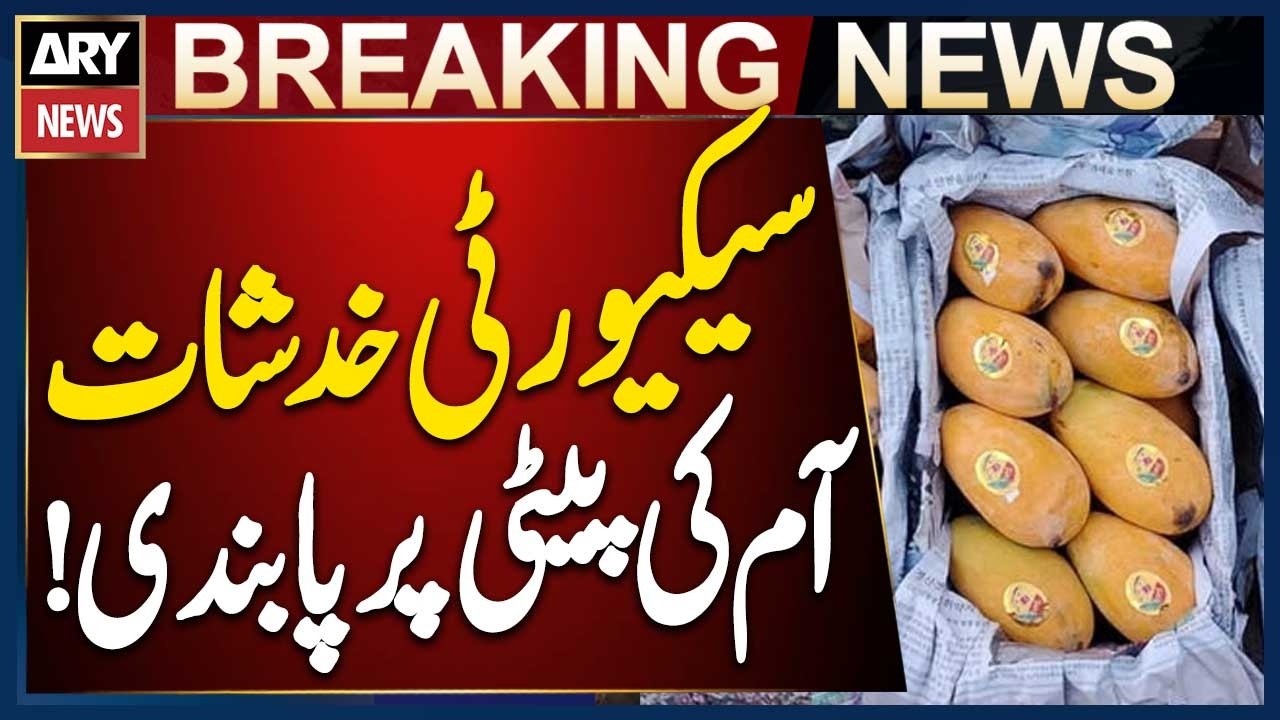 Big Security Measure: Ban on Mango Boxes in Sindh Secretariat