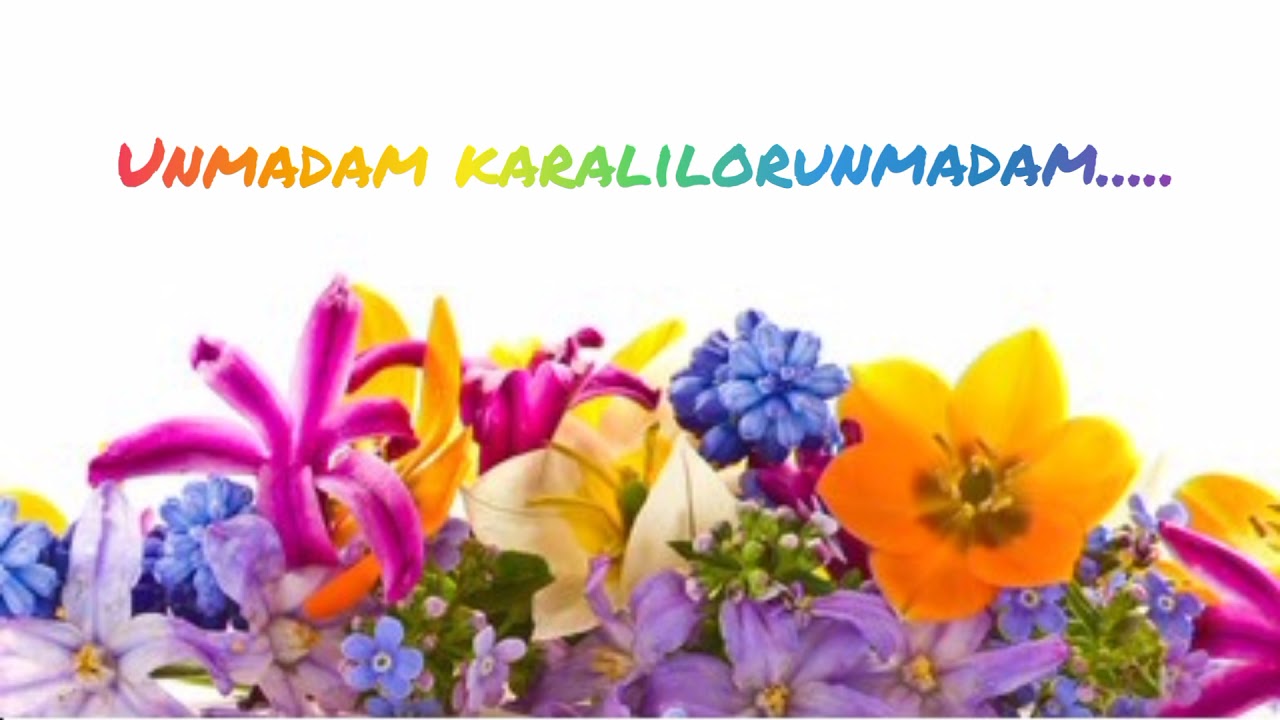 Unmadam karalilorunmadam....