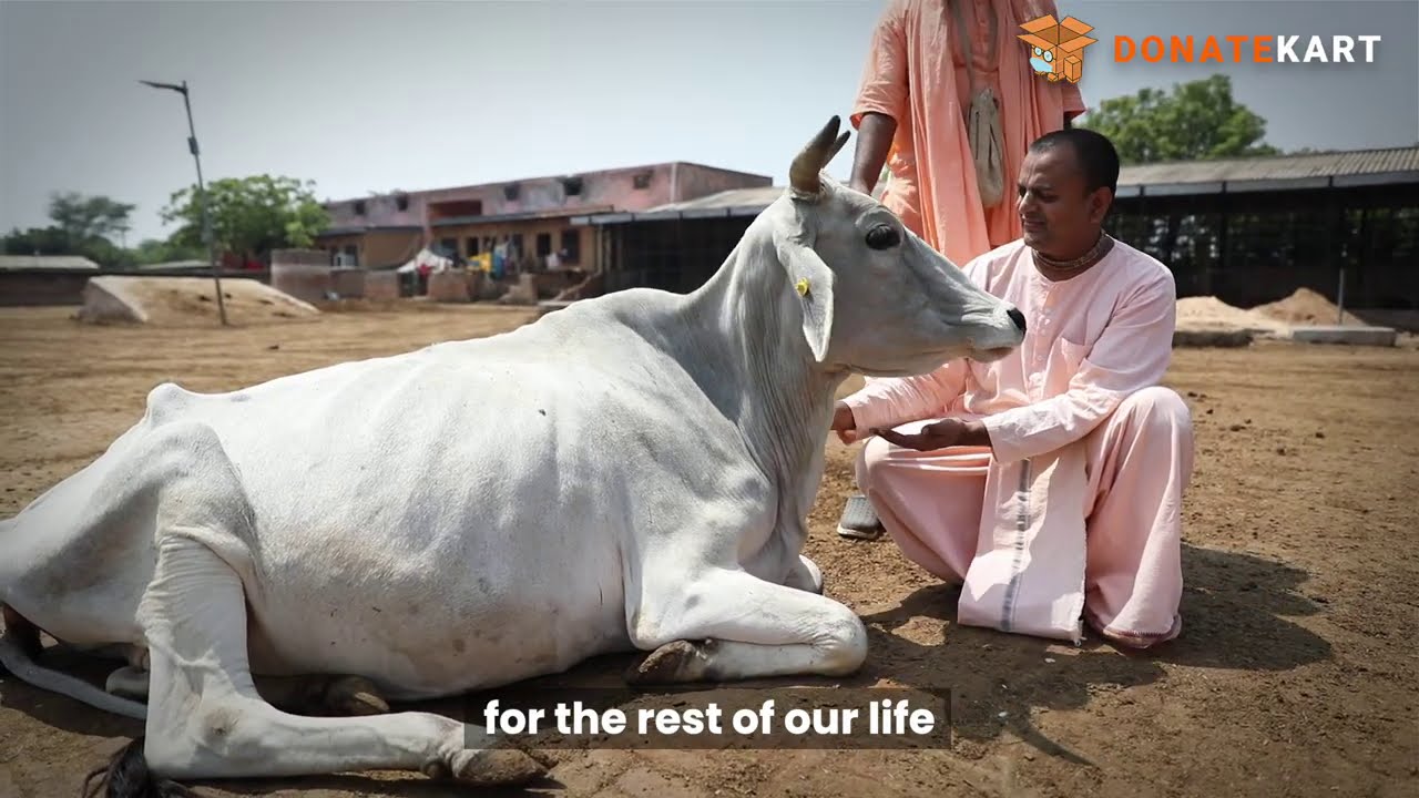 Help build the world&rsquo;s largest Gaushala.