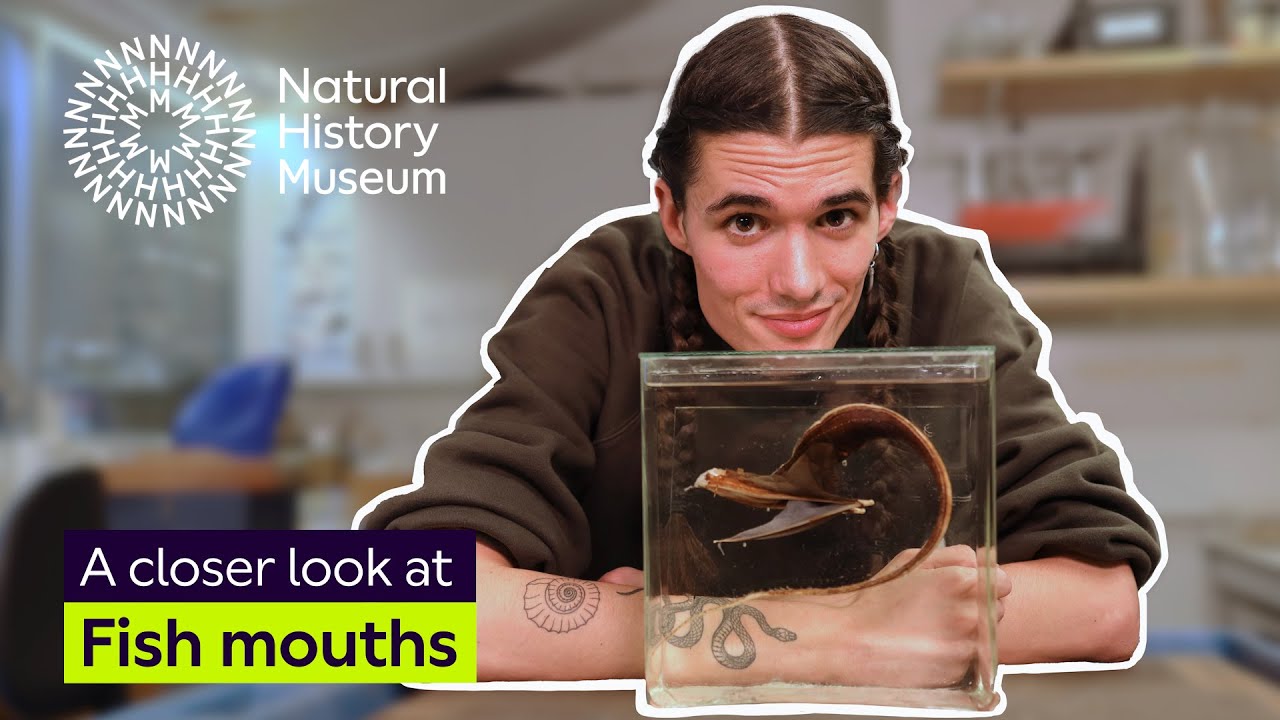 A closer look at fish mouths