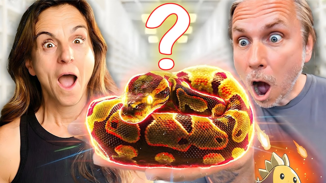 Surprising JAHMYR GIBBS With Monkeys at My Zoo!