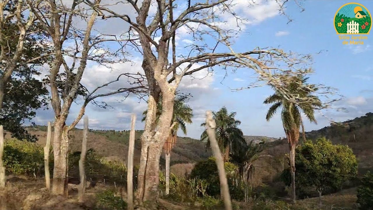 LINDAS PAISAGENS DO SÍTIO ATE À CIDADE DE ALAGOA NOVA PARAIBA 