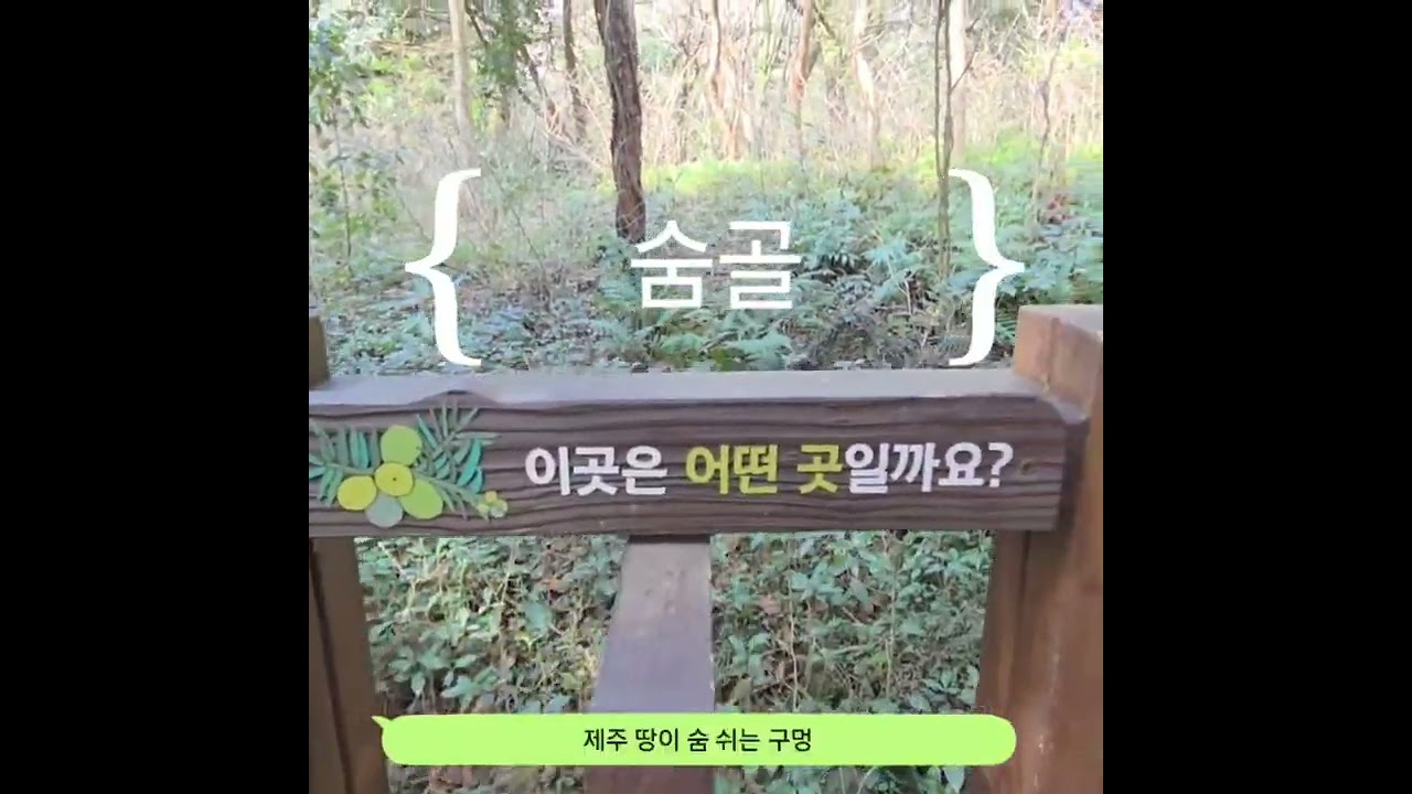 같이가자@비자림