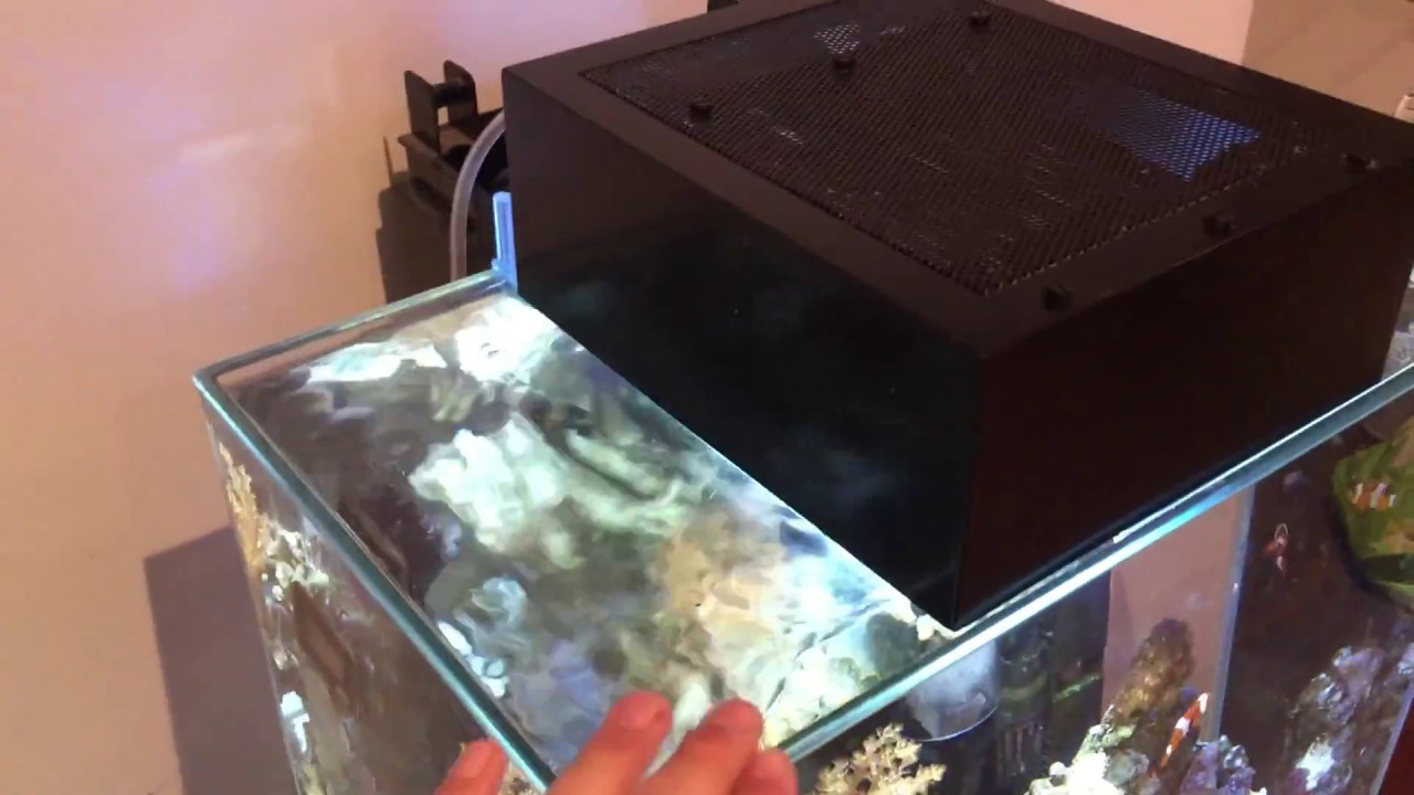 46l Fluval Edge Salt Water Marine Setup / Conversion, Nano Fish Tank
