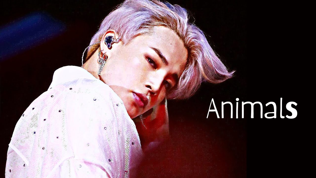 Jimin 지민 ➤ ANIMALS