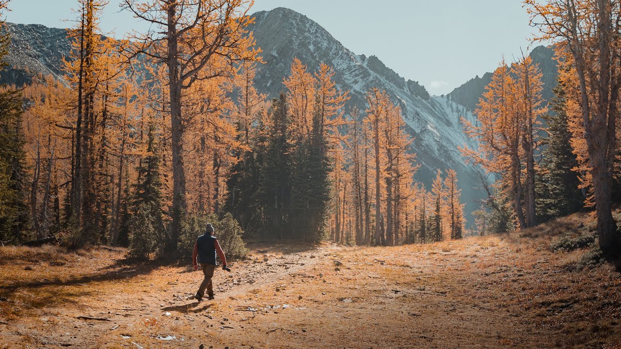 Fall Mountain Photography | A7III + Sony  70-200 f4