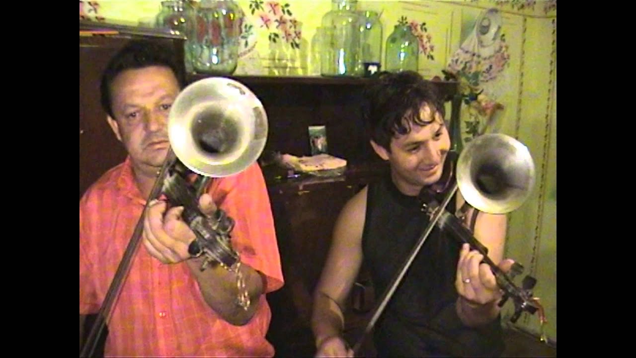 CLUJ, Instrumentisti bihoreni XX, Gal Victor, Budureasa, BH, 2005
