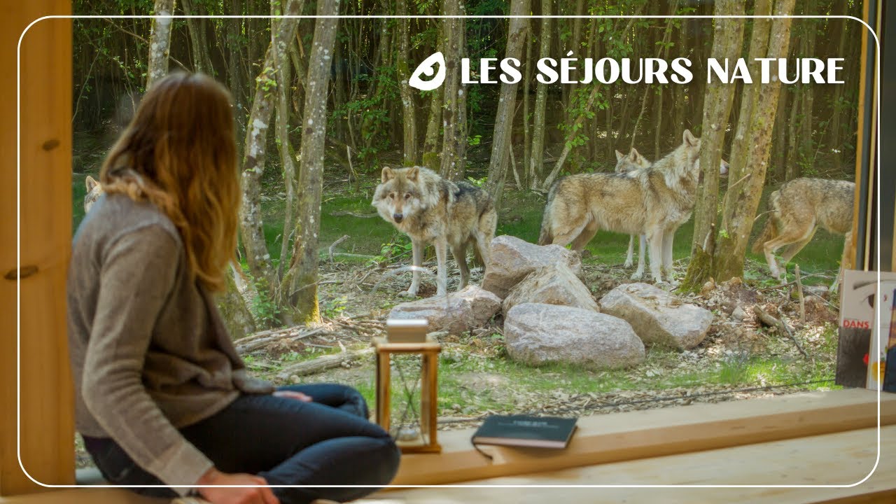 Dormez dans un Lodge Nature au cœur du Parc Animalier de Sainte-Croix !