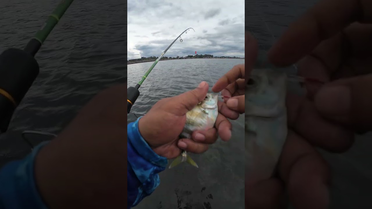 Sunod sunod ang kagat ng mga talakitok | sabiki fishing