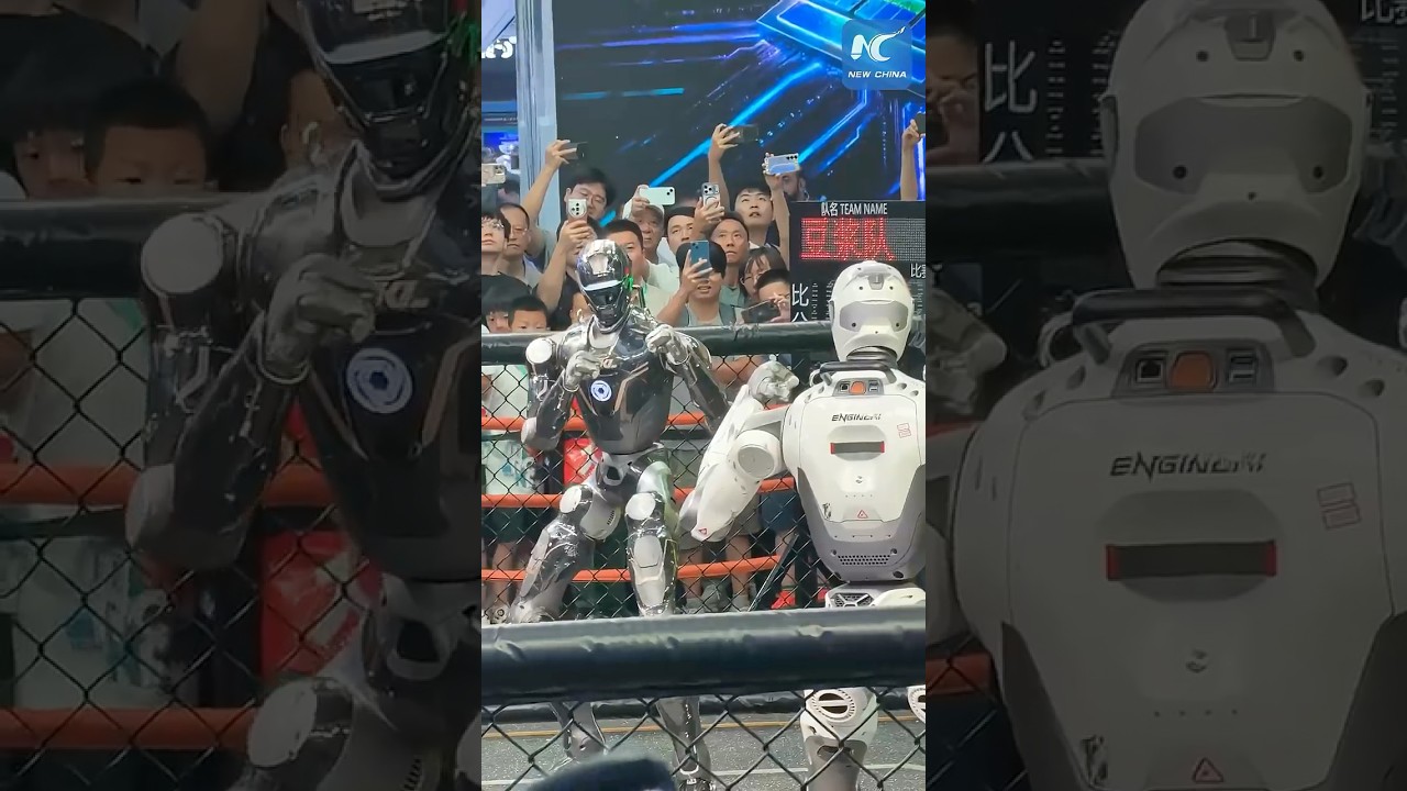 Robots battle it out in the ring at World Robot Conference