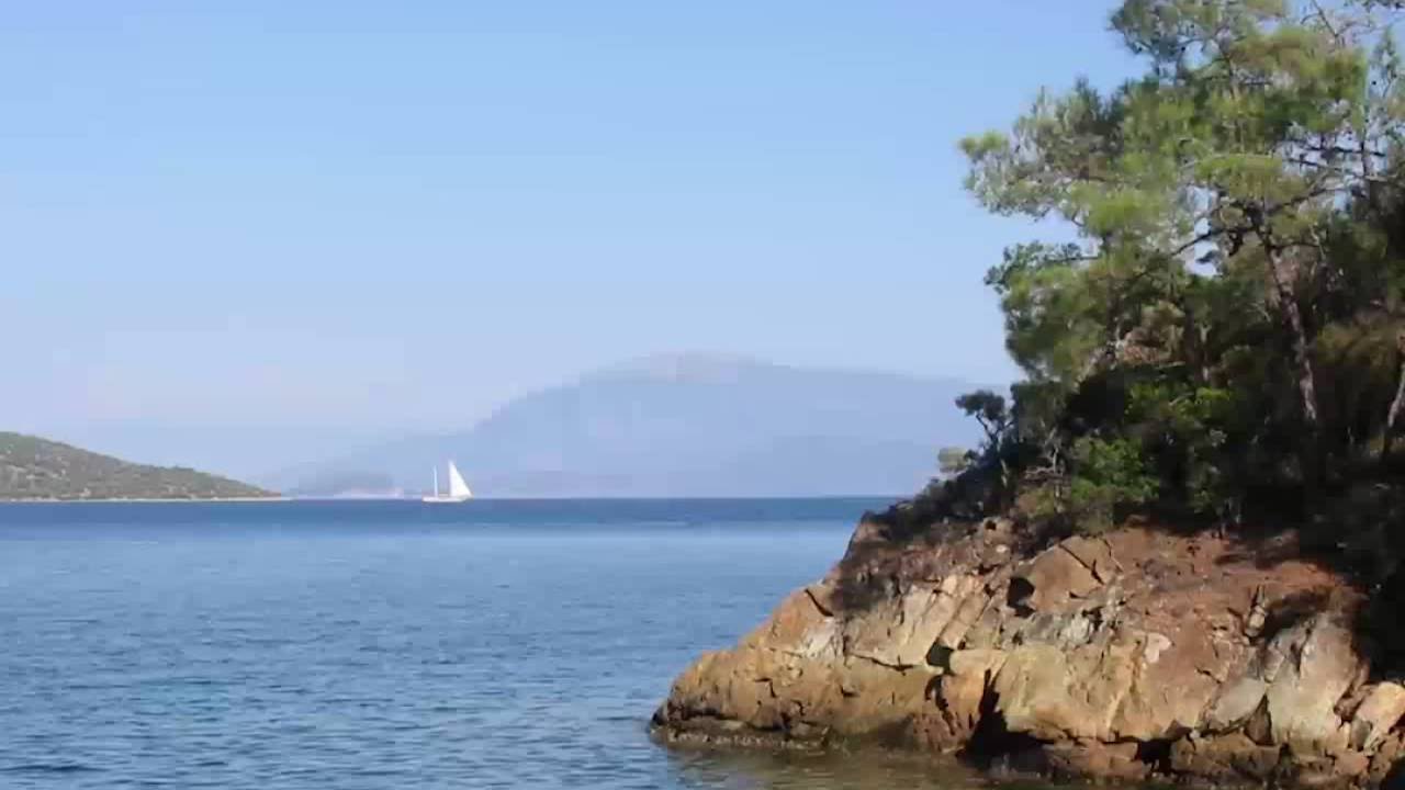 Klasik Türk Müziği Bestecileri - Şevki Bey
